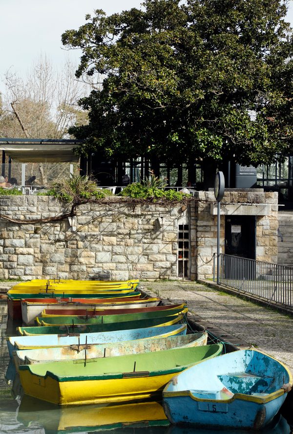 Instagram Lago Lisboa — barcos no lago do Campo Grande